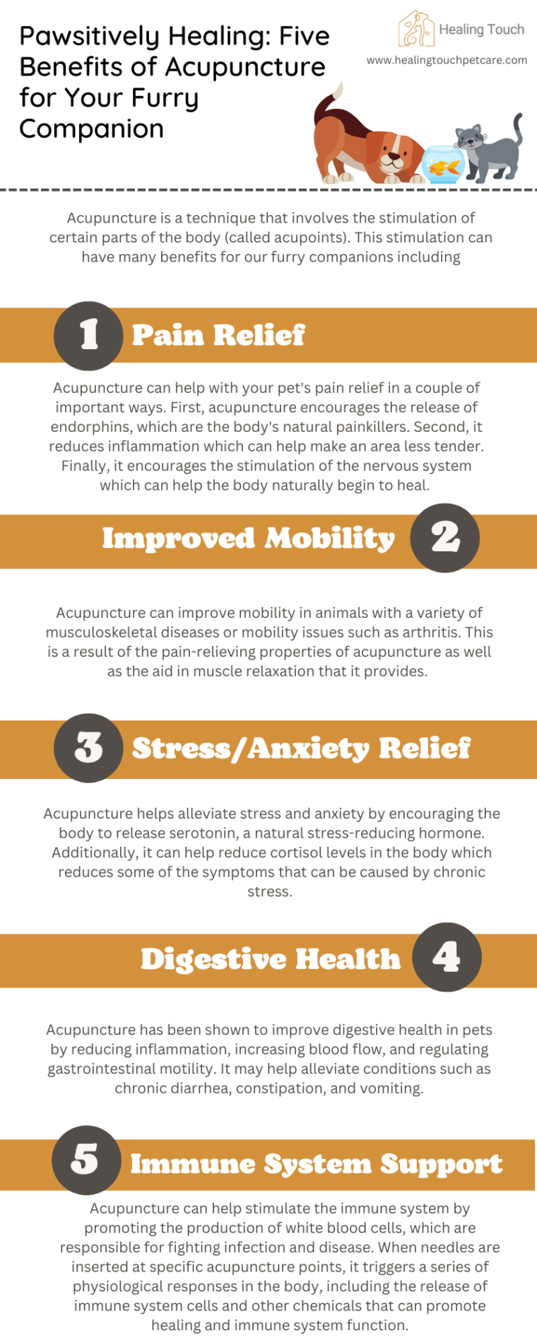 Veterinary Acupuncture Sheboygan Holistic Veterinarian