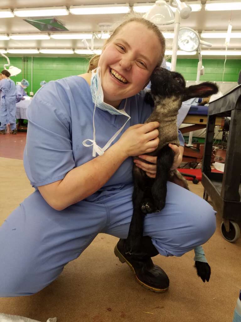 Dr. Kendra Hodge holding a baby sheep