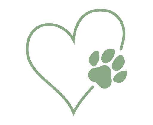 Introducing Hospet: Now Completely Free for All Pet Families
