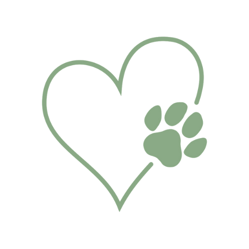 Introducing Hospet: Now Completely Free for All Pet Families